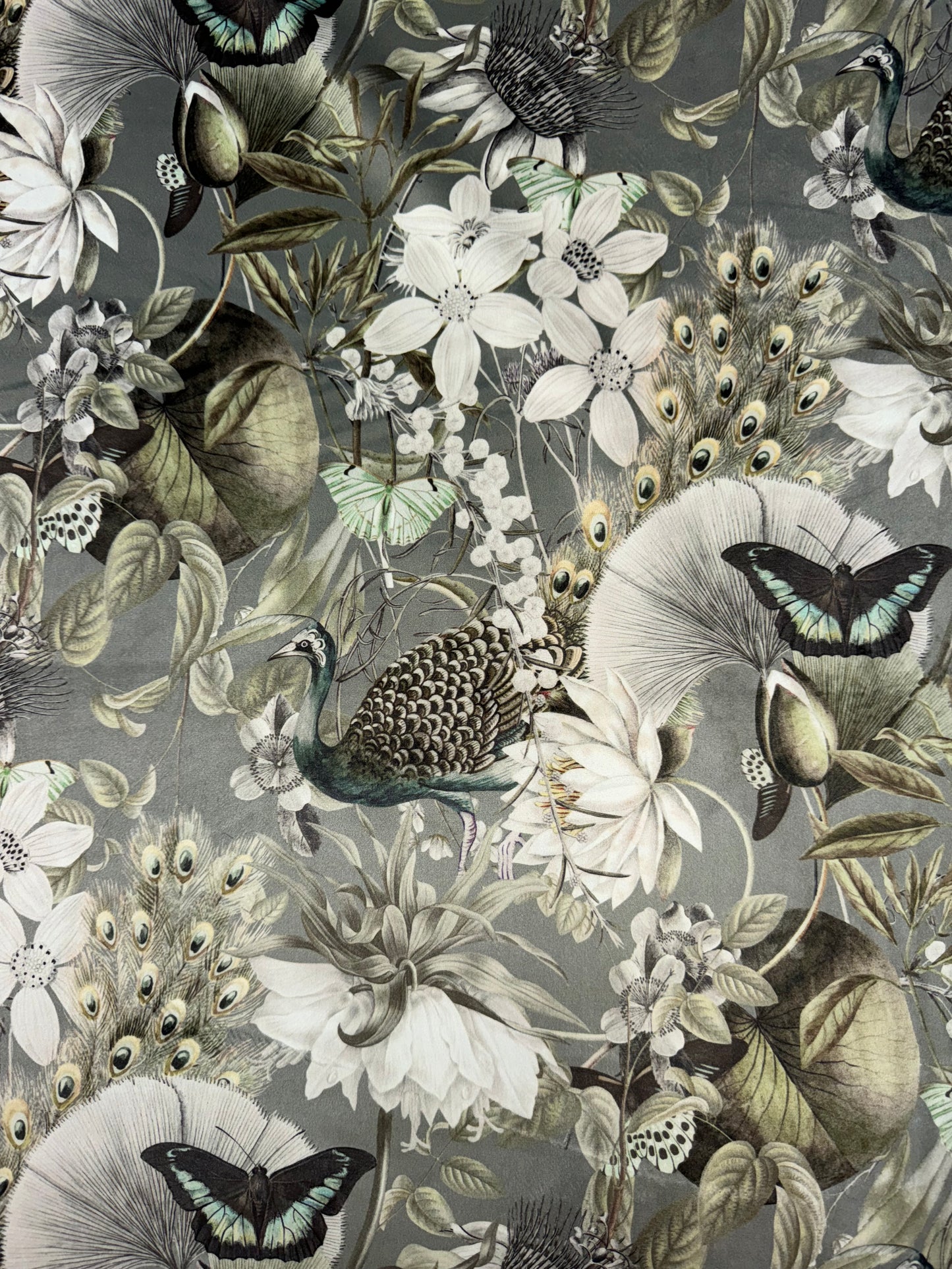 Eden Tranquility Silver Peacock/Butterfly Printed Velvet Upholstery Fabric