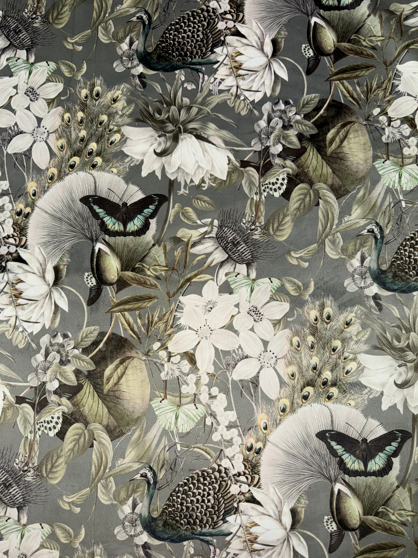 Eden Tranquility Silver Peacock/Butterfly Printed Velvet Upholstery Fabric - Soft Options upholstery trim