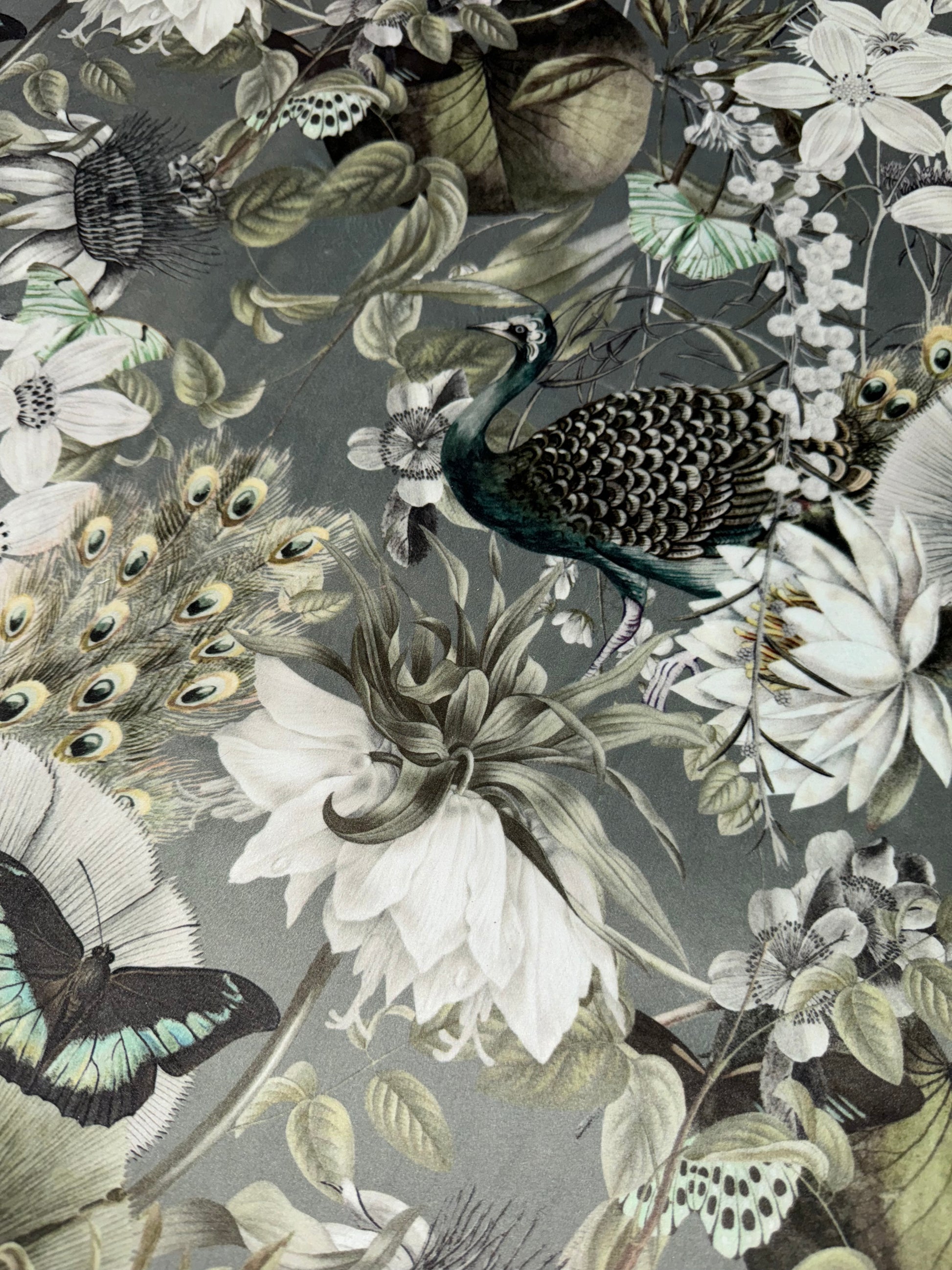 Eden Tranquility Silver Peacock/Butterfly Printed Velvet Upholstery Fabric
