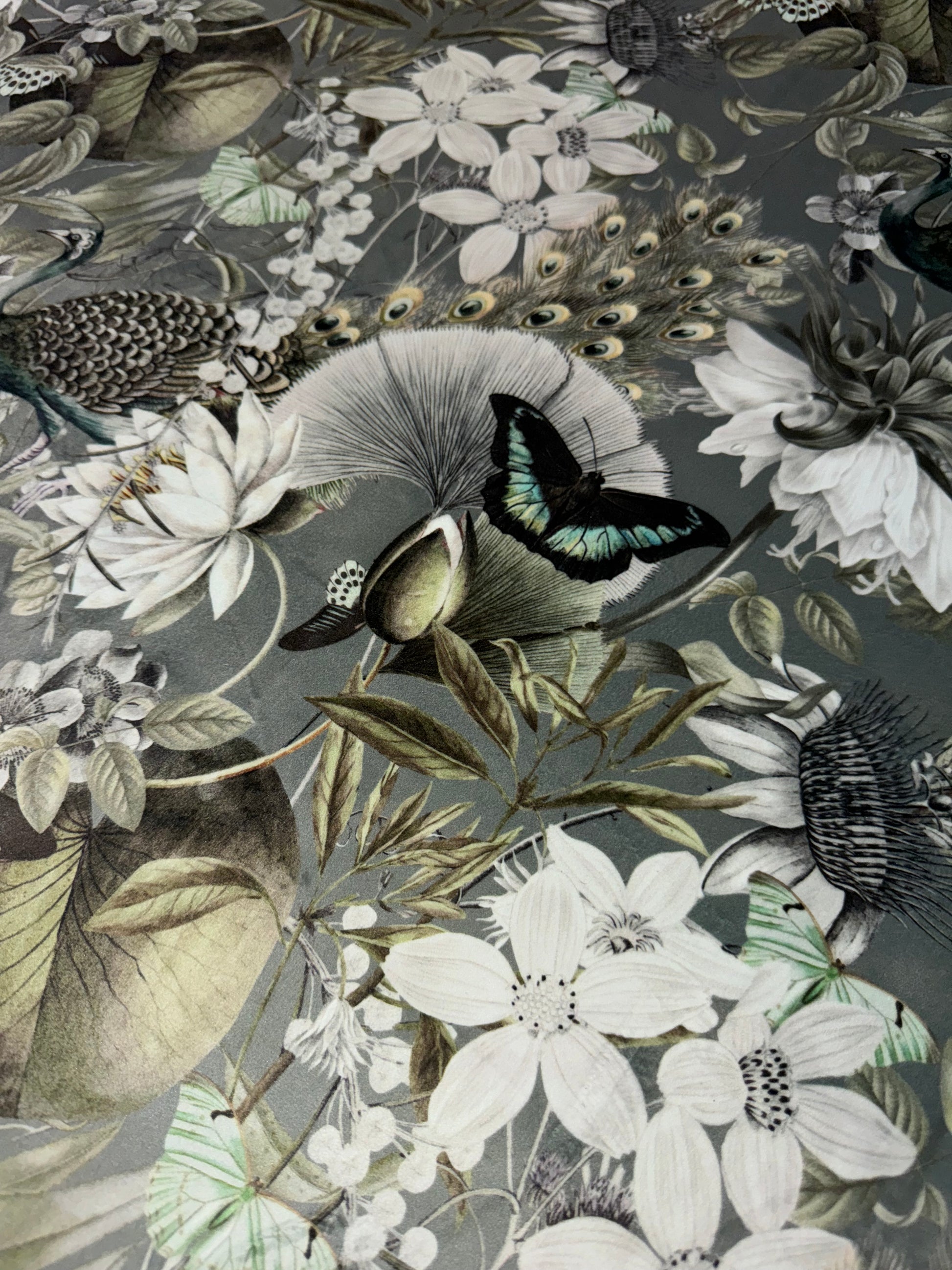 Eden Tranquility Silver Peacock/Butterfly Printed Velvet Upholstery Fabric