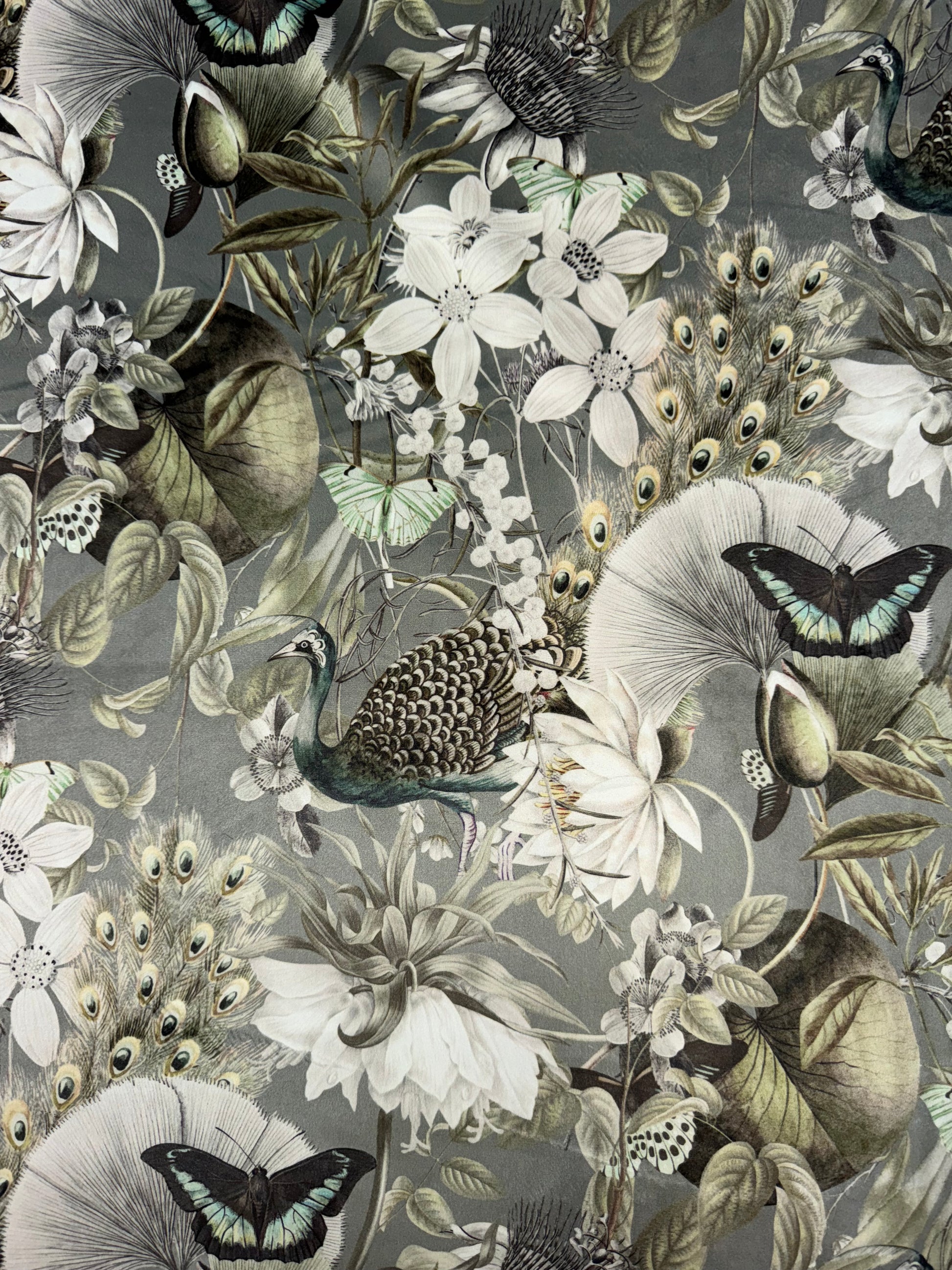 Eden Tranquility Silver Peacock/Butterfly Printed Velvet Upholstery Fabric
