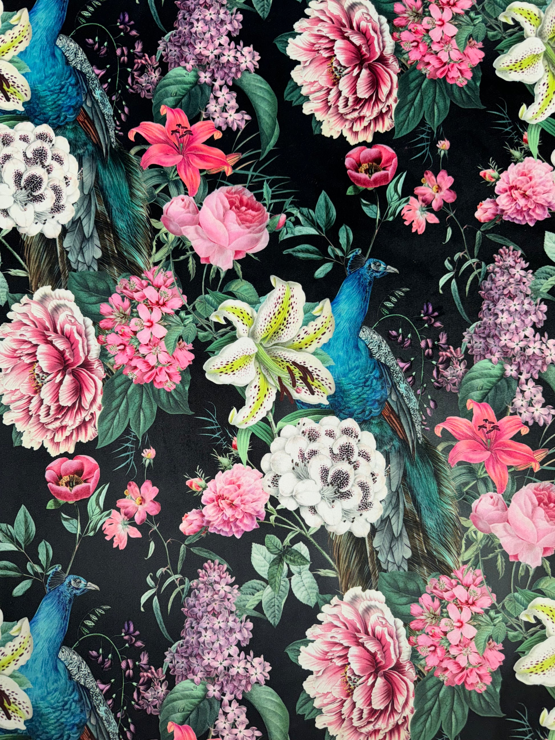 Eden Ebony Peacock Blossom Printed Velvet Upholstery Fabric