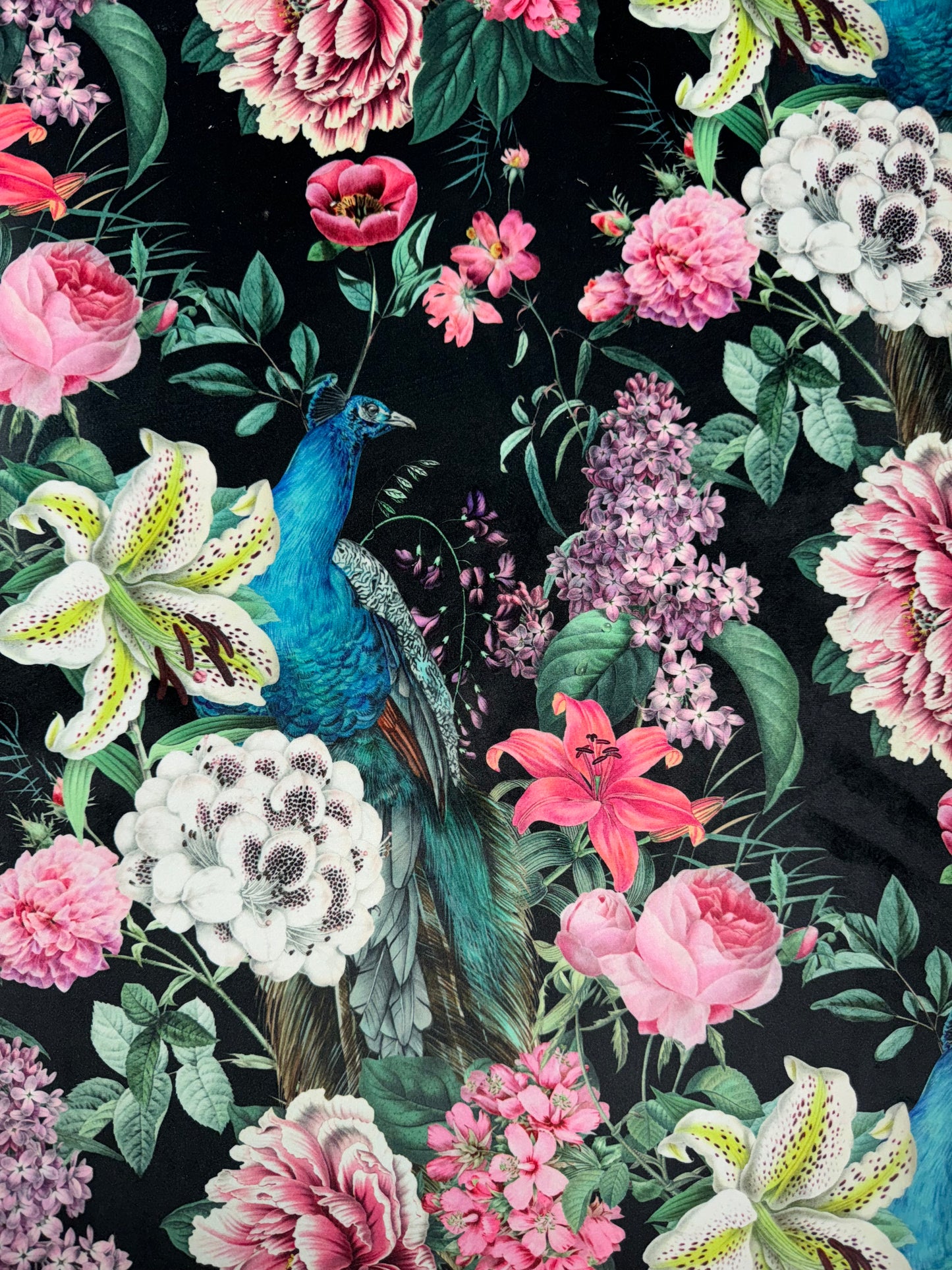 Eden Ebony Peacock Blossom Printed Velvet Upholstery Fabric