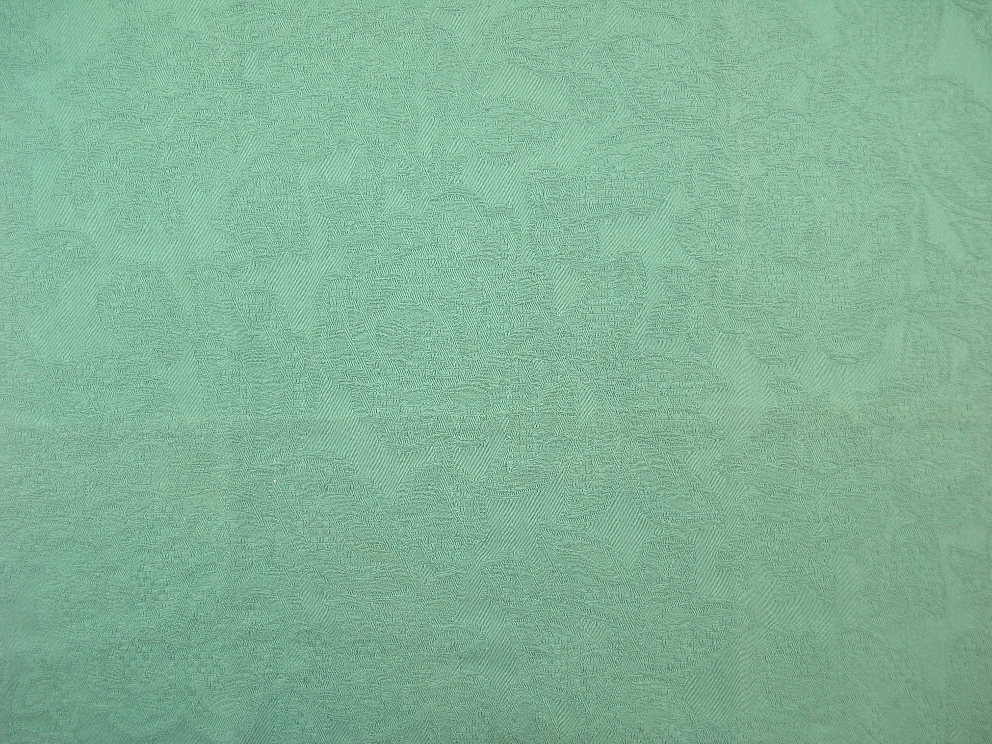 Colwyn Bay Embossed Fern Cotton Upholstery Fabric