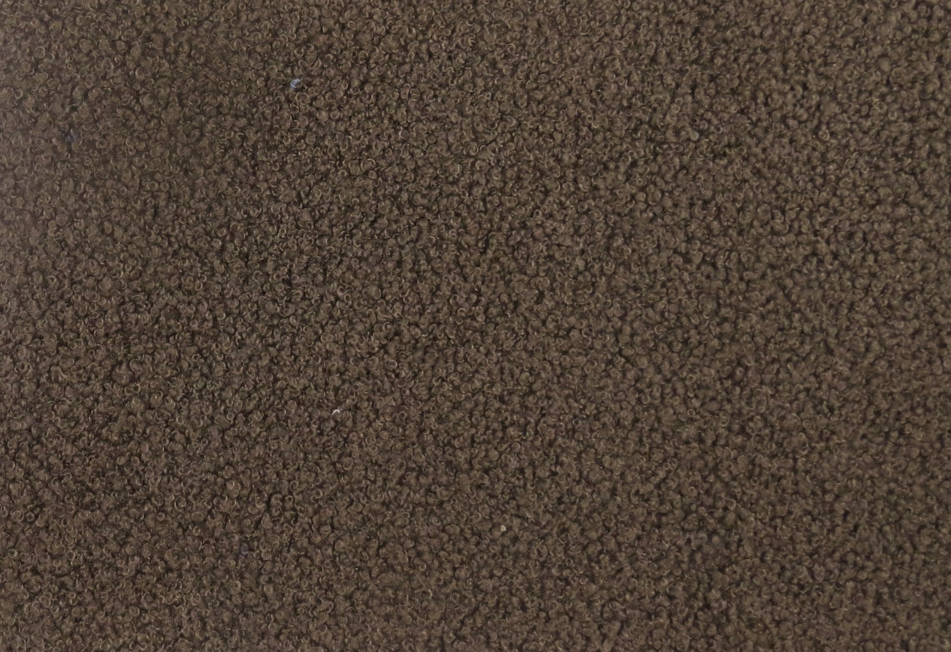 Arlingtone Boucle Teddy Bear Upholstery Fabric - Truffle