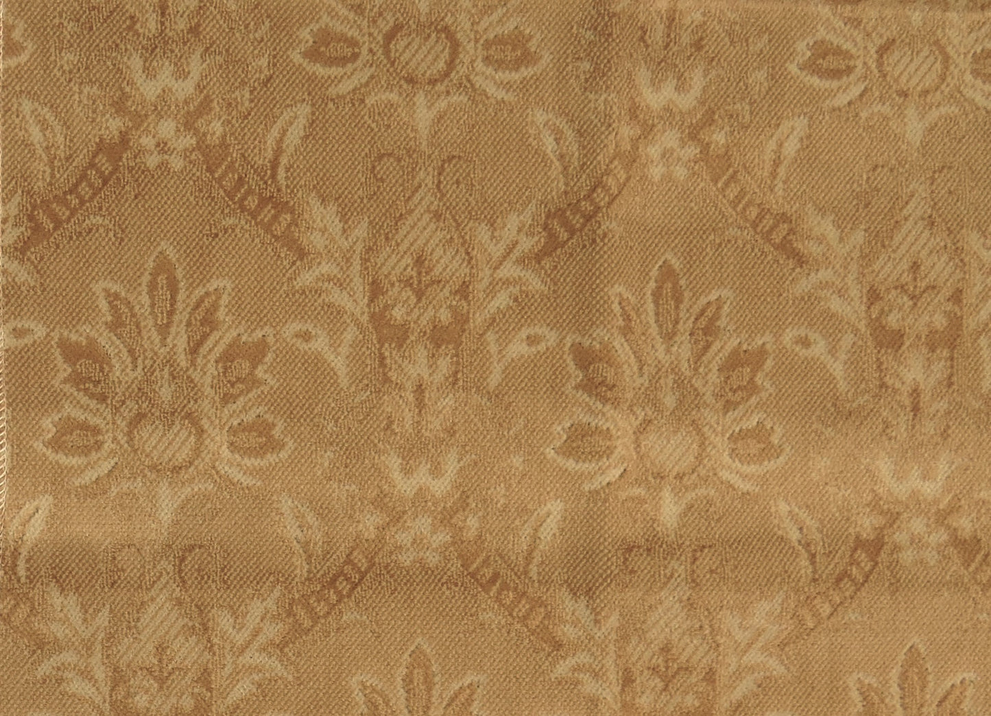 Biscotti Sculpture Velvet Upholstery Fabric - Soft Options upholstery trim
