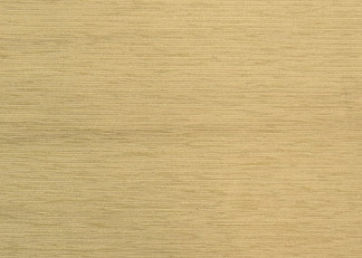 Texas Soft Green Chenille Upholstery Fabric - Soft Options upholstery trim