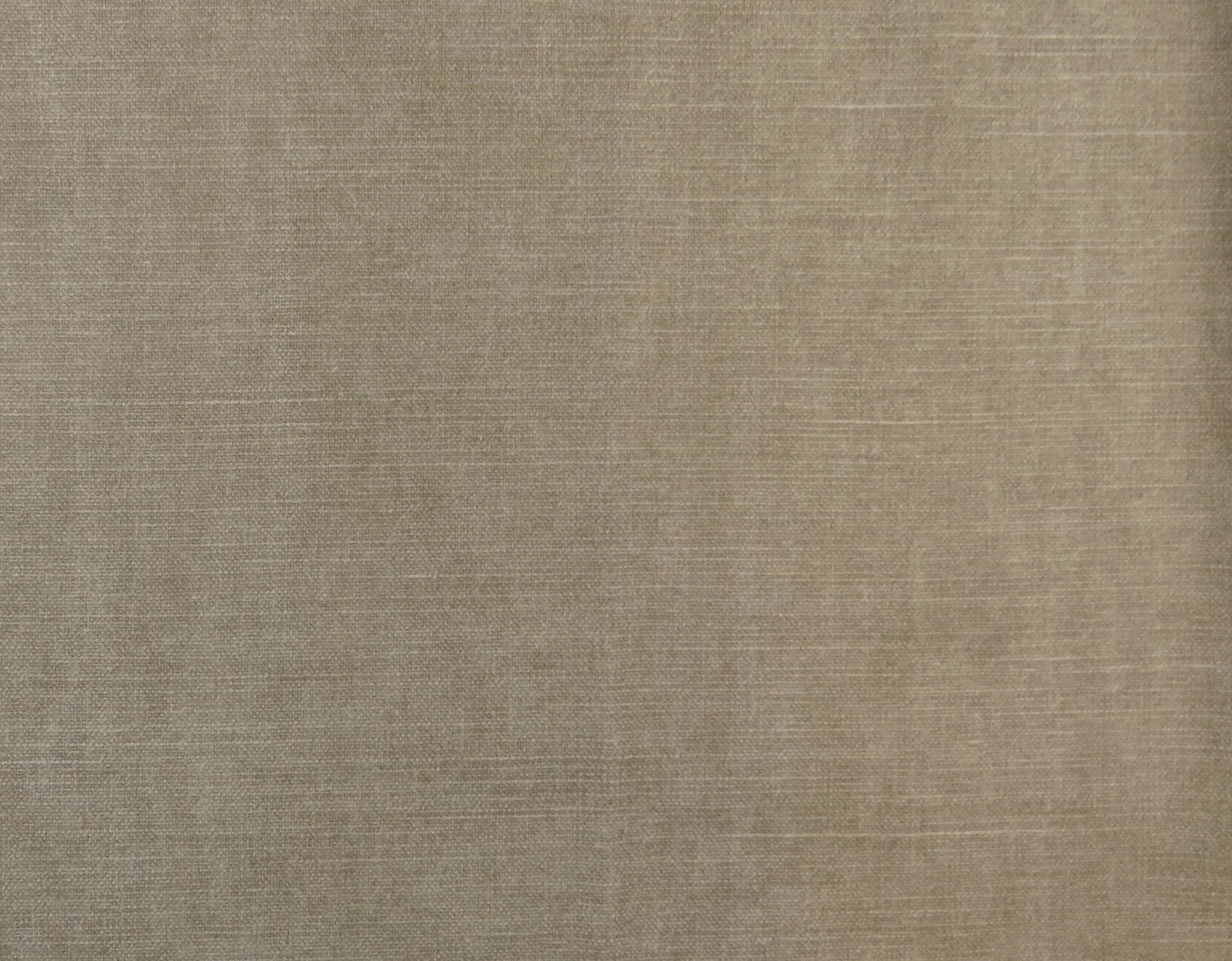 Plain Beige