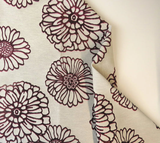 Chrysanthemum Bordeaux